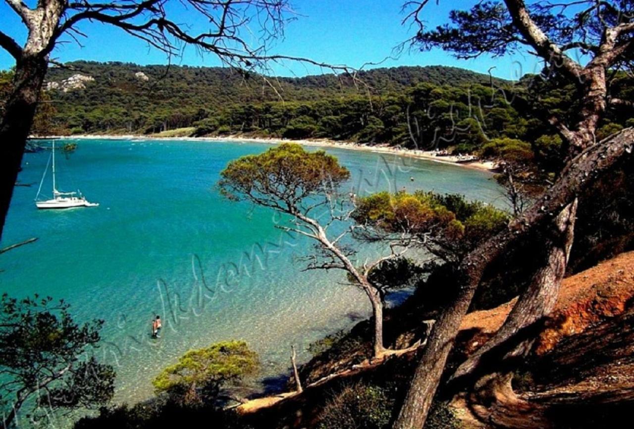 Magnifique Parc De La Presqu'ile Avec Piscine Et Face A Porquerolles !