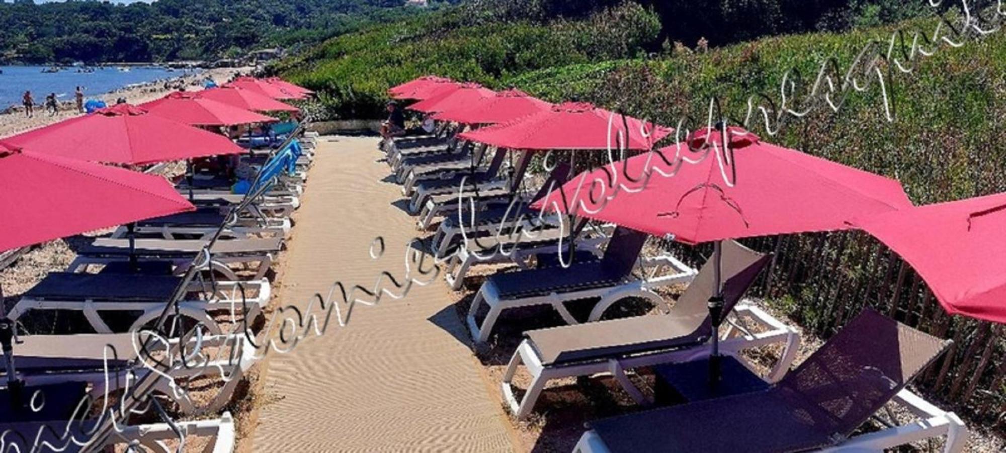 Appartement Magnifique Parc De La Presqu'île Avec Piscine Et Face à Porquerolles ! Hyères
