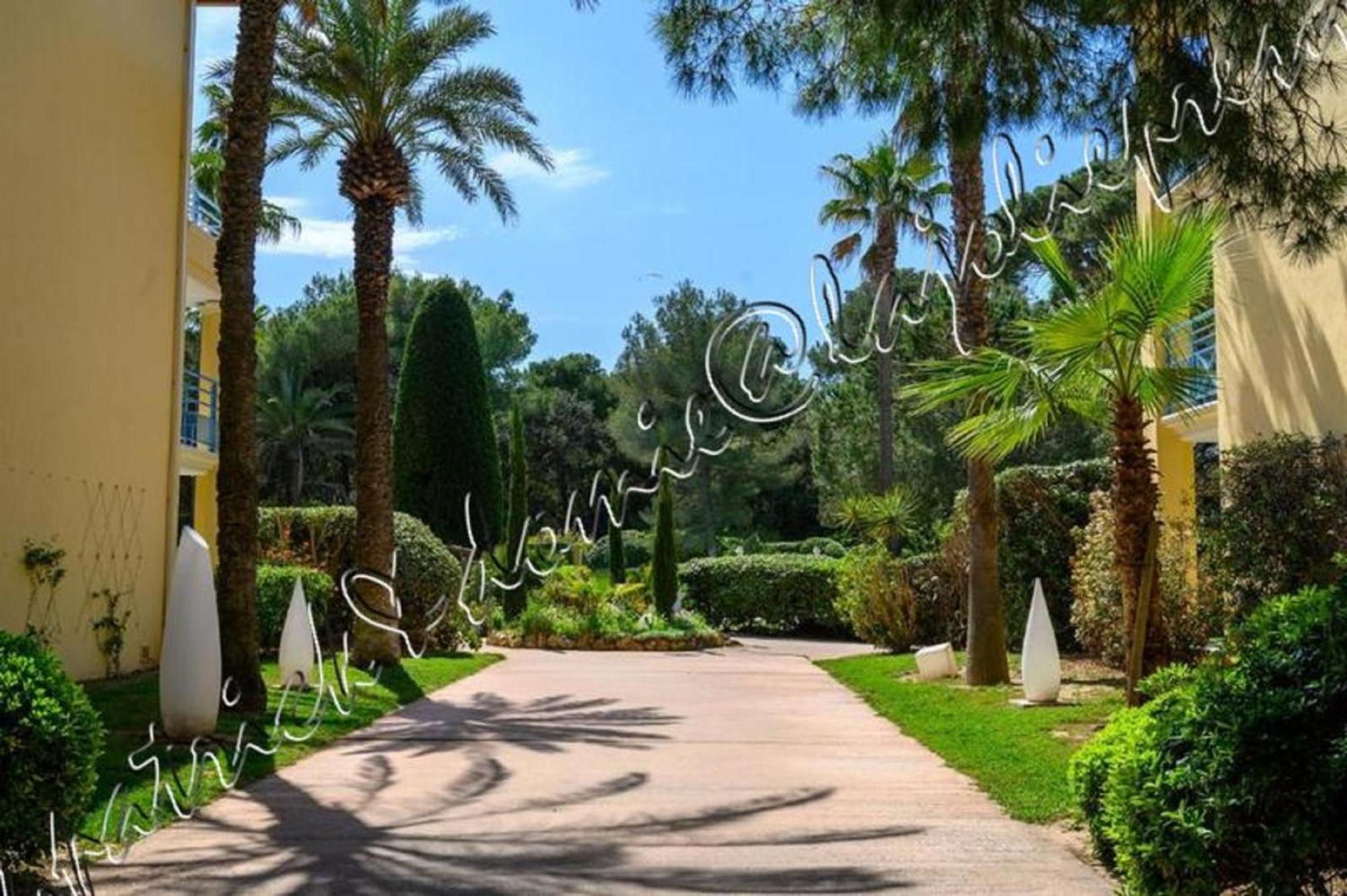 Apartment Magnifique Parc De La Presqu'ile Avec Piscine Et Face A Porquerolles ! Hyeres