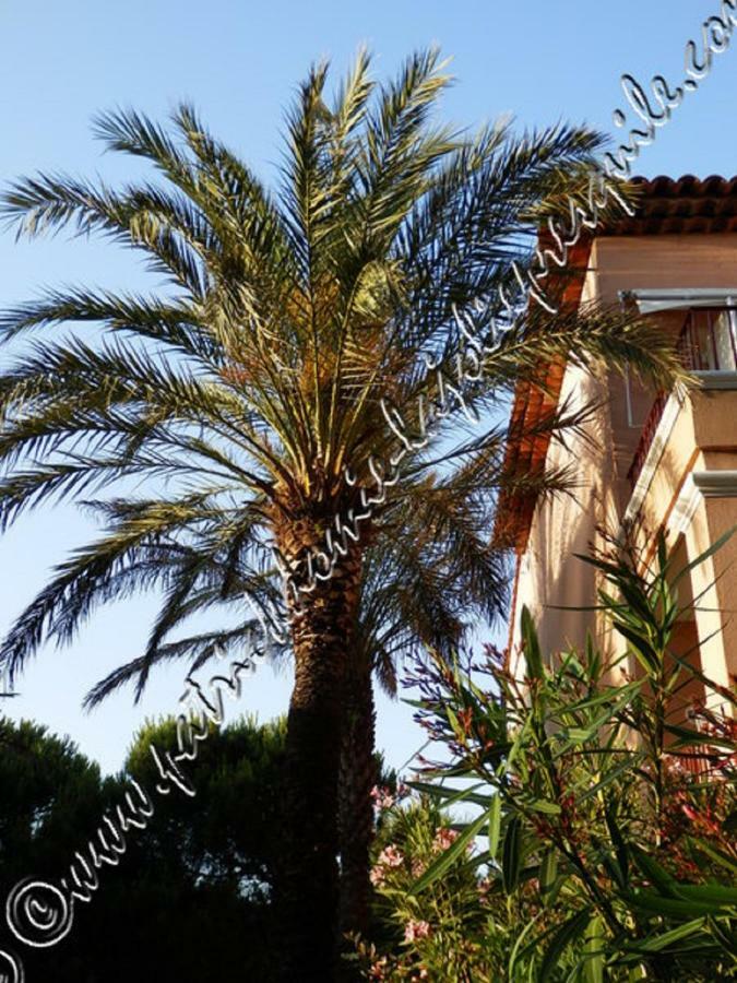 Apartment Magnifique Parc De La Presqu'ile Avec Piscine Et Face A Porquerolles ! Hyeres