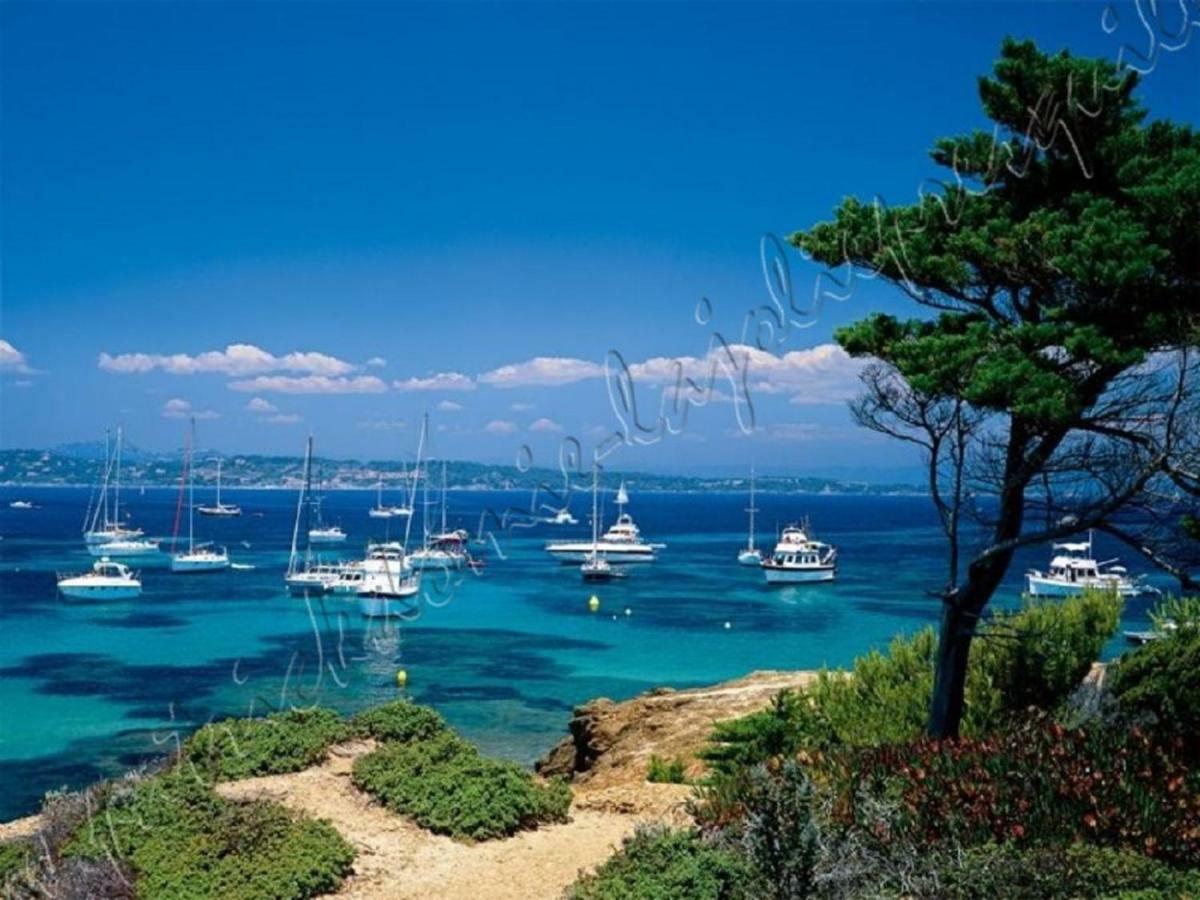 Magnifique Parc De La Presqu'île Avec Piscine Et Face à Porquerolles ! * Hyères