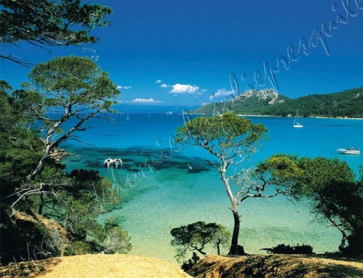 Apartment Magnifique Parc De La Presqu'ile Avec Piscine Et Face A Porquerolles ! Hyeres