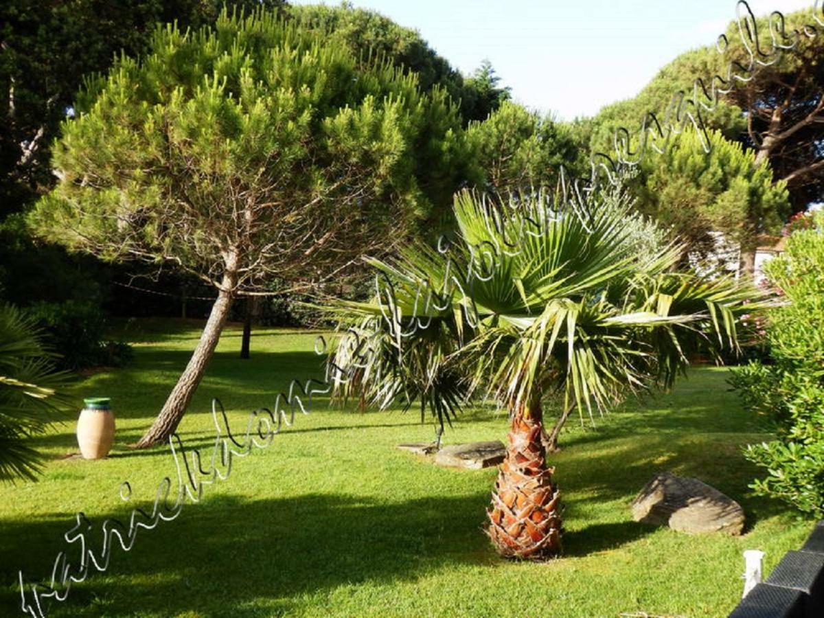 Magnifique Parc De La Presqu'ile Avec Piscine Et Face A Porquerolles ! * Hyeres
